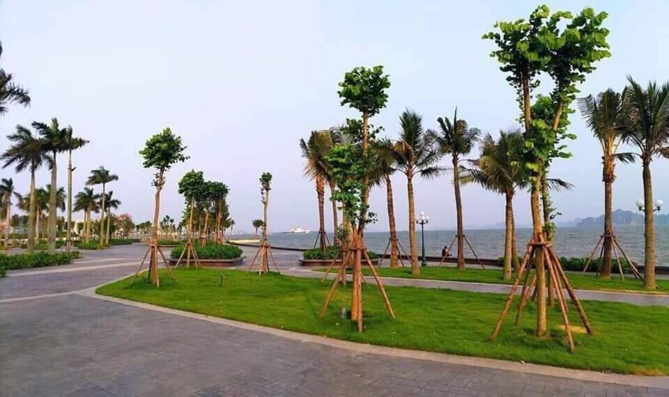 Sonny Homestay 2 -Can Lien Ke 5Pn -Khu Greenbayvillage - Duong Hoang Quoc Viet -Trung Tam Kdl Bai Chay Ha Long Exterior foto
